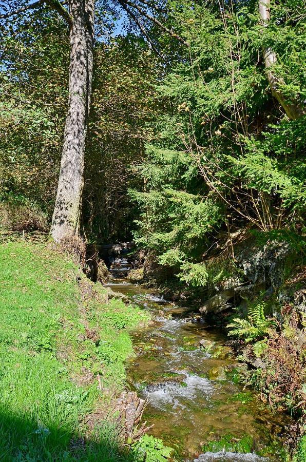 Rezidence Greenhill ⃰ ⃰ ⃰ Kraslice Buitenkant foto