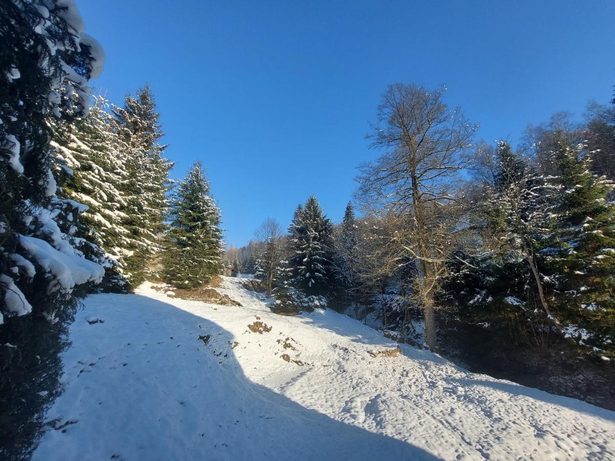 Rezidence Greenhill ⃰ ⃰ ⃰ Kraslice Buitenkant foto