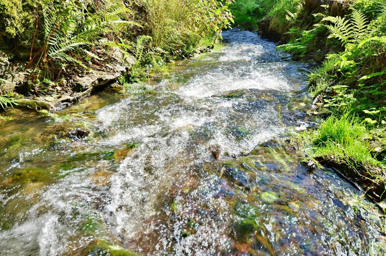 Rezidence Greenhill ⃰ ⃰ ⃰ Kraslice Buitenkant foto