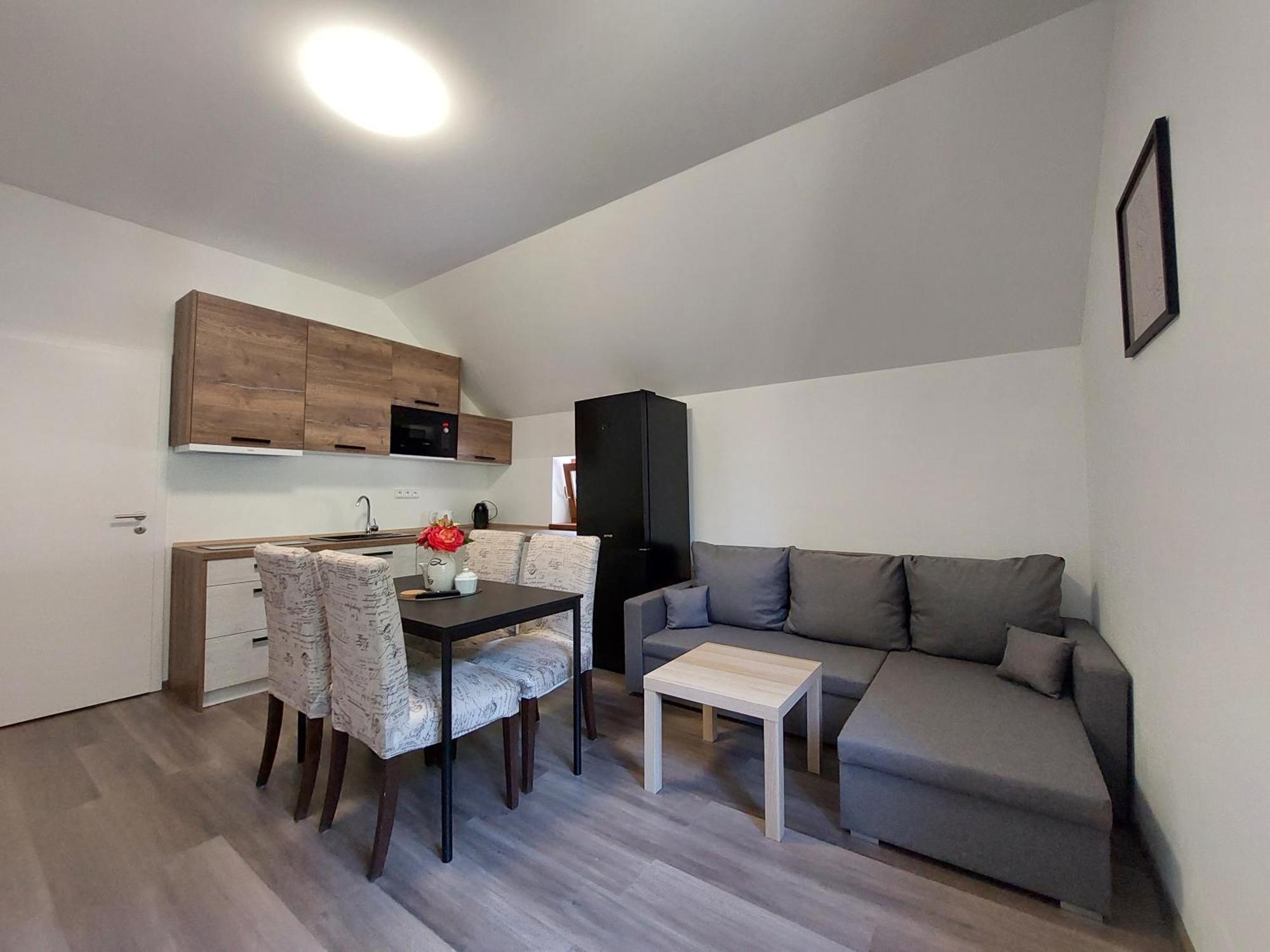 Rezidence Greenhill ⃰ ⃰ ⃰ Kraslice Kamer foto