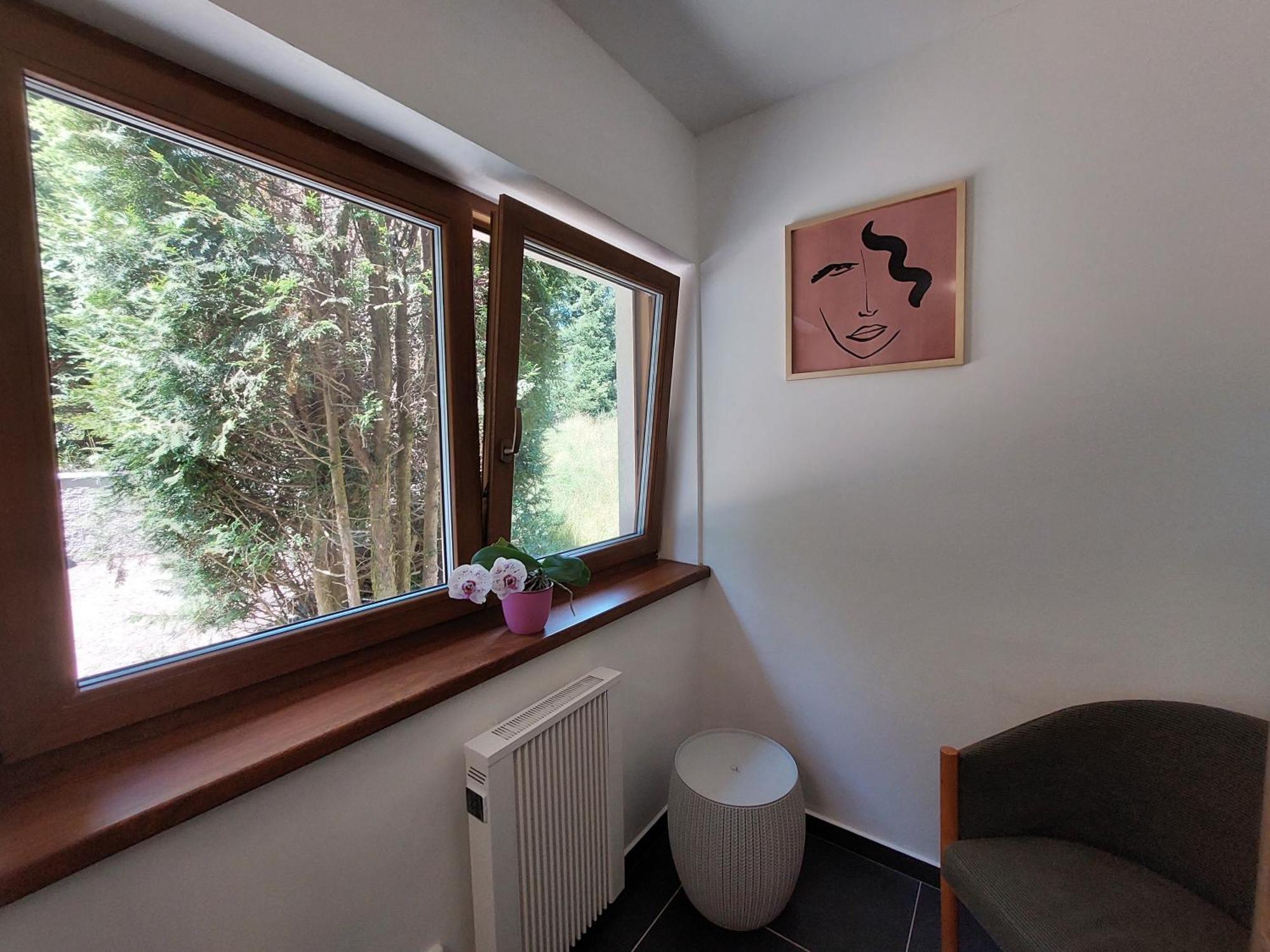 Rezidence Greenhill ⃰ ⃰ ⃰ Kraslice Kamer foto